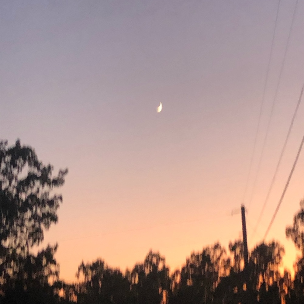 Meet your Posher, Emerson